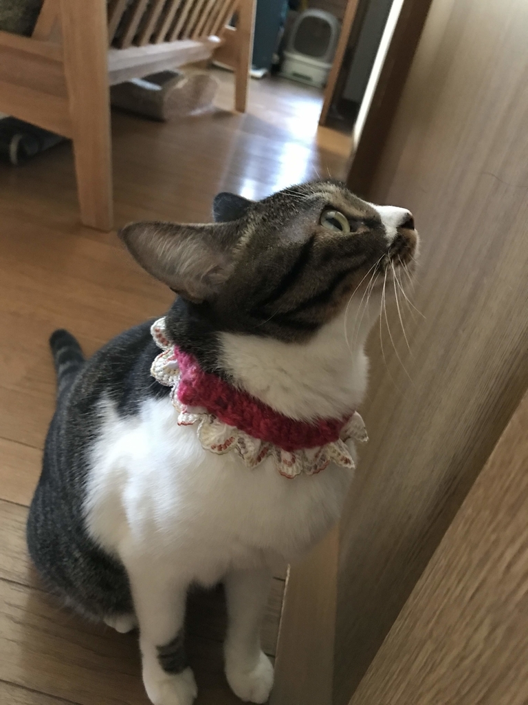 f:id:aridon:20181015142648j:plain