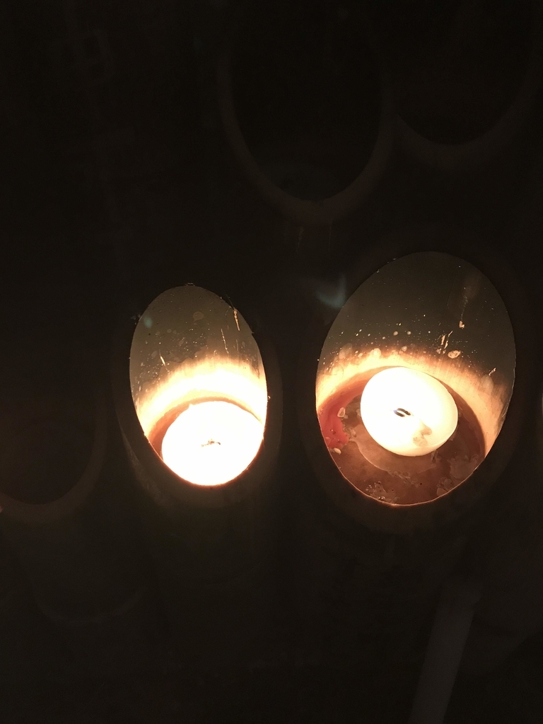 f:id:aridon:20190121110805j:plain