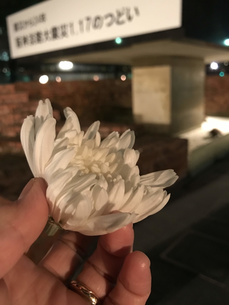 f:id:aridon:20190121111125j:plain