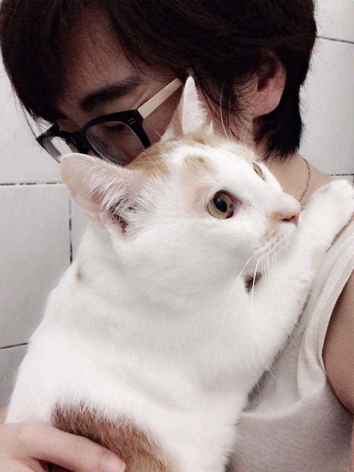 f:id:ariel-chung:20180819210853j:plain f:id:ariel-chung:20180819210853j:plain