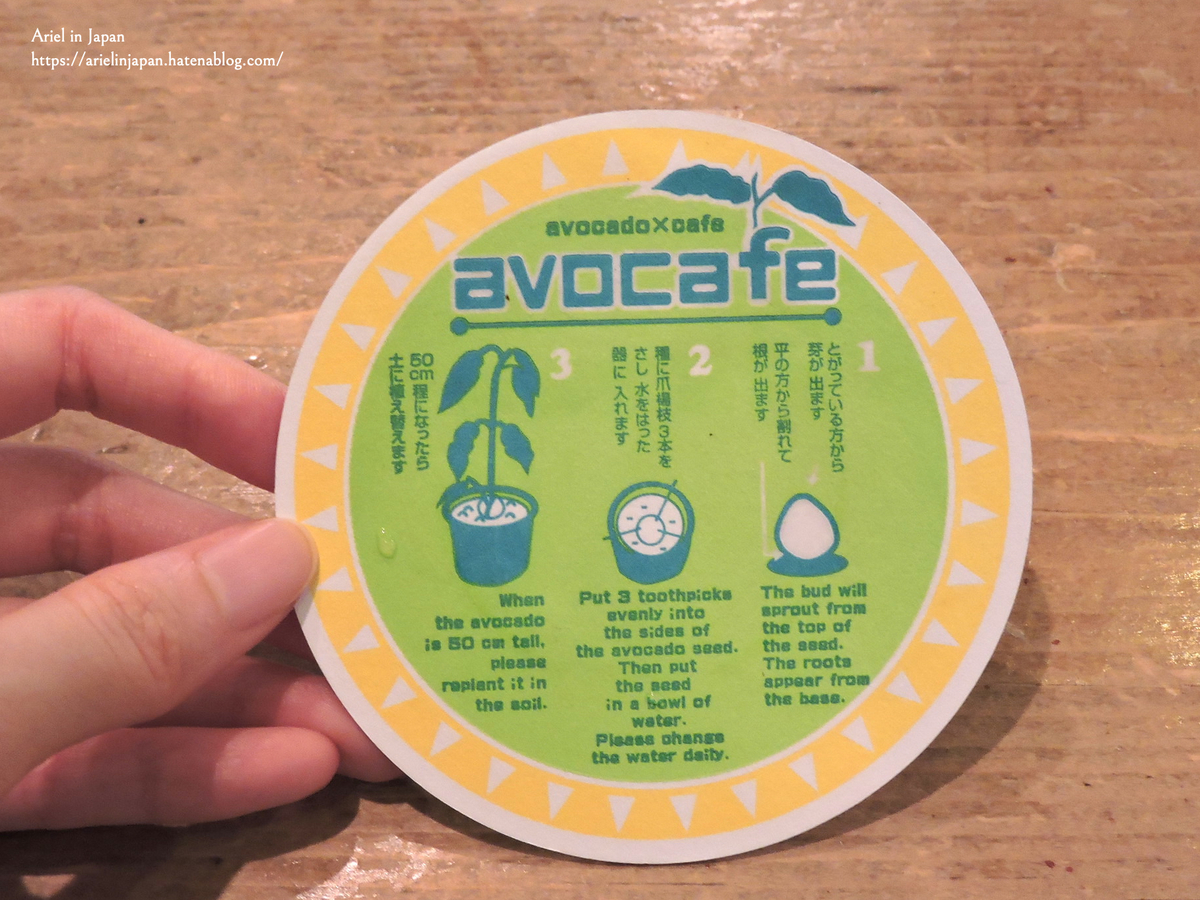 アボカフェコースター
