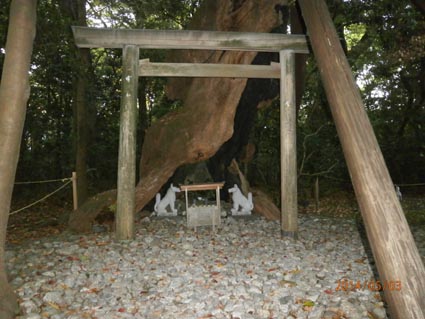 イメージ 8