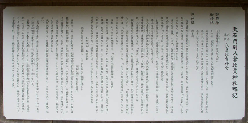 イメージ 7
