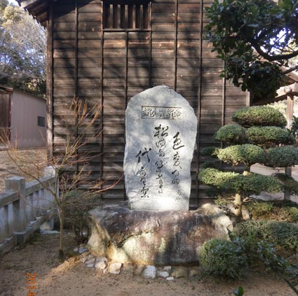 イメージ 17