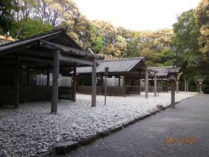 イメージ 7