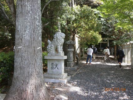 イメージ 3