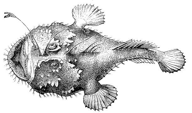 f:id:ariga10dazo:20191022083900j:plain