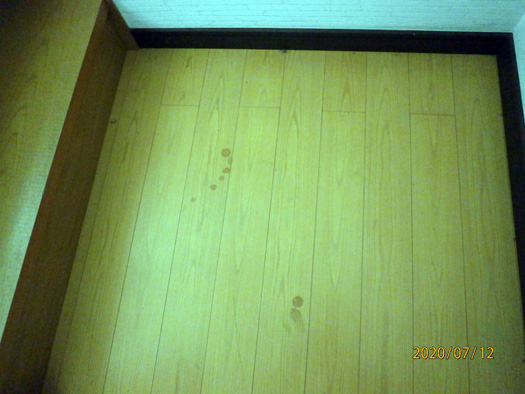 f:id:ariga10dazo:20200718202703j:plain f:id:ariga10dazo:20200718202703j:plain