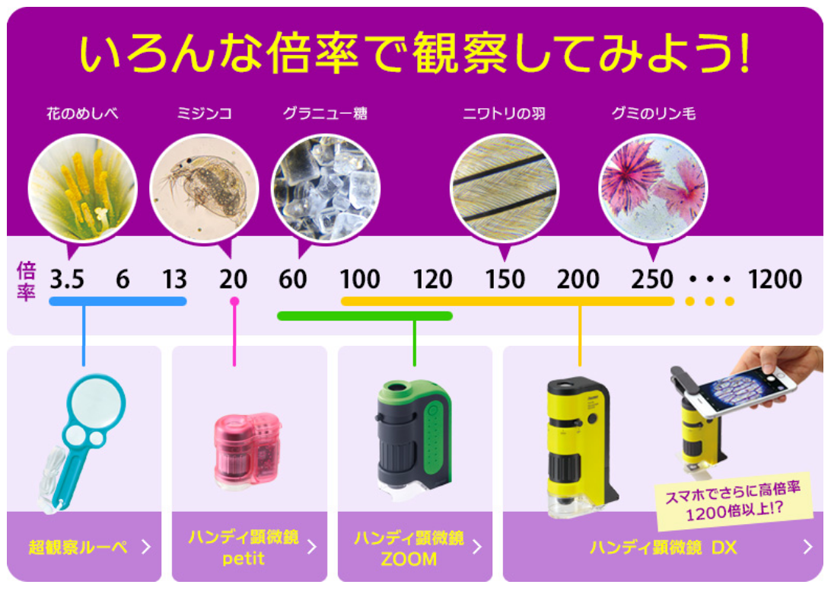 f:id:ariga10dazo:20210902194408p:plain