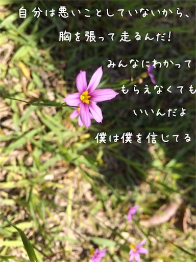 f:id:arigatai3939:20180517201307j:image f:id:arigatai3939:20180517201307j:image