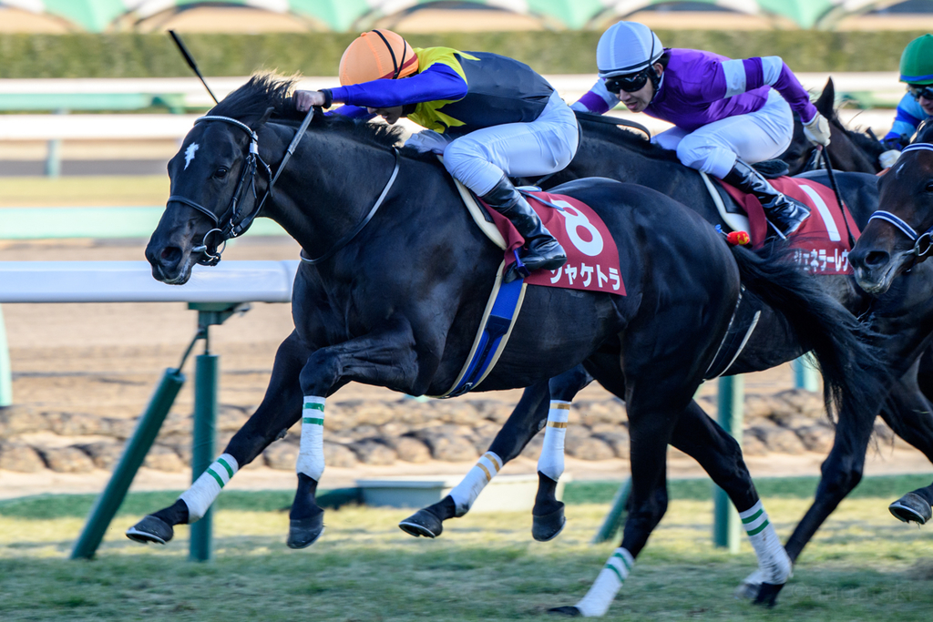 f:id:arigataki_shiawase:20190121231450j:plain f:id:arigataki_shiawase:20190121231450j:plain