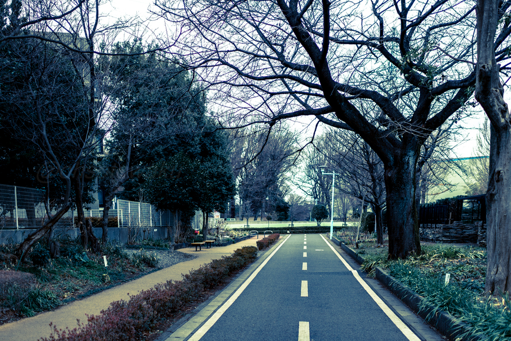 f:id:arigataki_shiawase:20190211194322j:plain