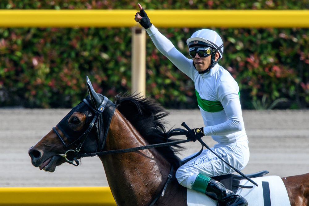 f:id:arigataki_shiawase:20190526214508j:plain