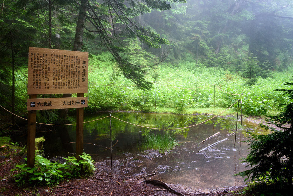 f:id:arigataki_shiawase:20190716224743j:plain