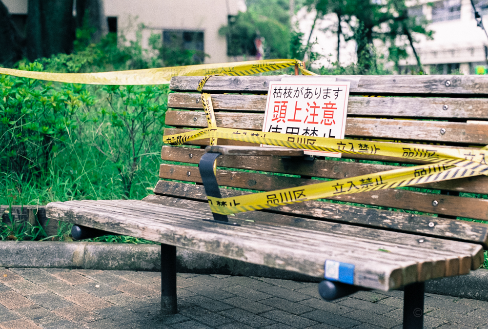 f:id:arigataki_shiawase:20191014184024j:plain