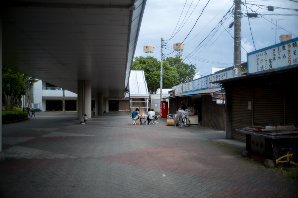 f:id:arigataki_shiawase:20200531184450j:plain