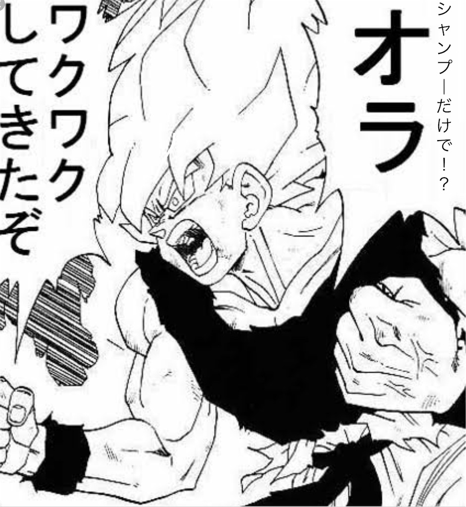 f:id:arigato324:20190320103004j:image f:id:arigato324:20190320103004j:image