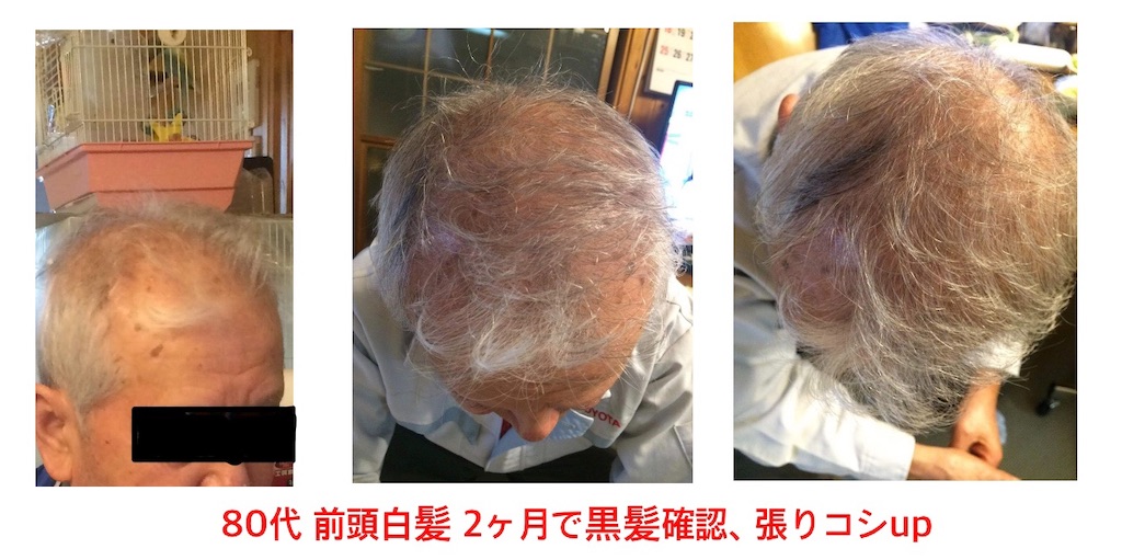 f:id:arigato324:20190320171227j:image f:id:arigato324:20190320171227j:image