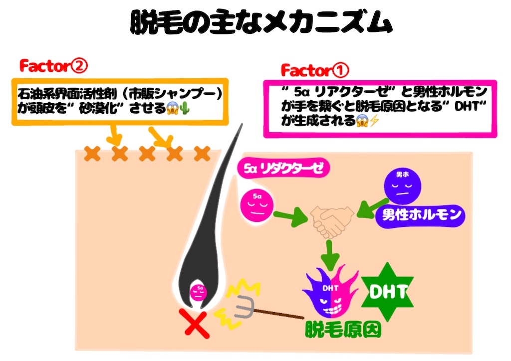 f:id:arigato324:20200915151550j:image