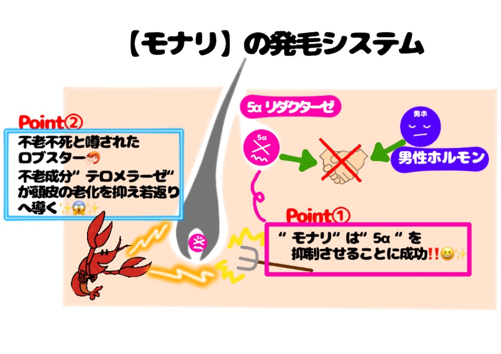 f:id:arigato324:20200915151612j:image