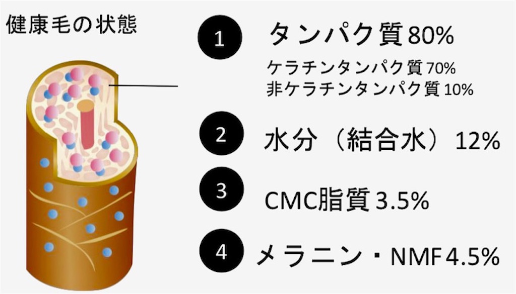 f:id:arigato324:20210730083409j:image