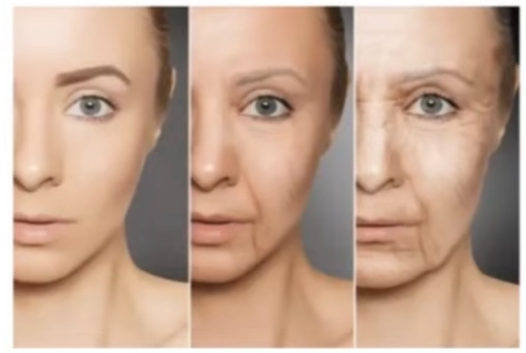 f:id:arigato324:20240617105539j:image