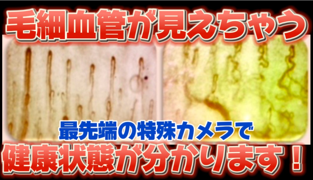 f:id:arigato324:20250218161612j:image f:id:arigato324:20250218161612j:image