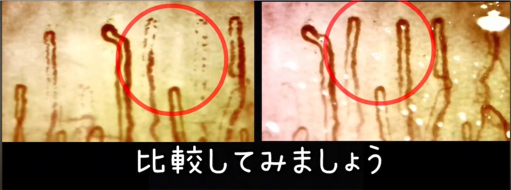 f:id:arigato324:20251107152037j:image