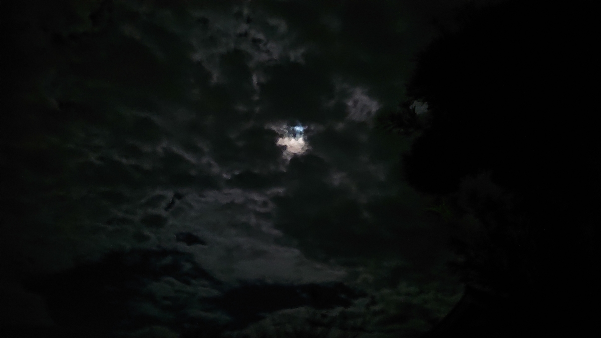 f:id:arigatobiyori:20210922222159j:plain