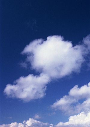f:id:arigatouojisan:20170122185729j:plain f:id:arigatouojisan:20170122185729j:plain