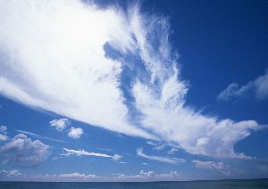 f:id:arigatouojisan:20170124221314j:plain f:id:arigatouojisan:20170124221314j:plain