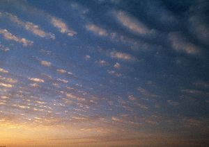 f:id:arigatouojisan:20170124221751j:plain f:id:arigatouojisan:20170124221751j:plain