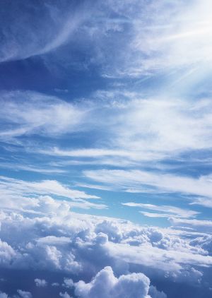 f:id:arigatouojisan:20170124223230j:plain f:id:arigatouojisan:20170124223230j:plain