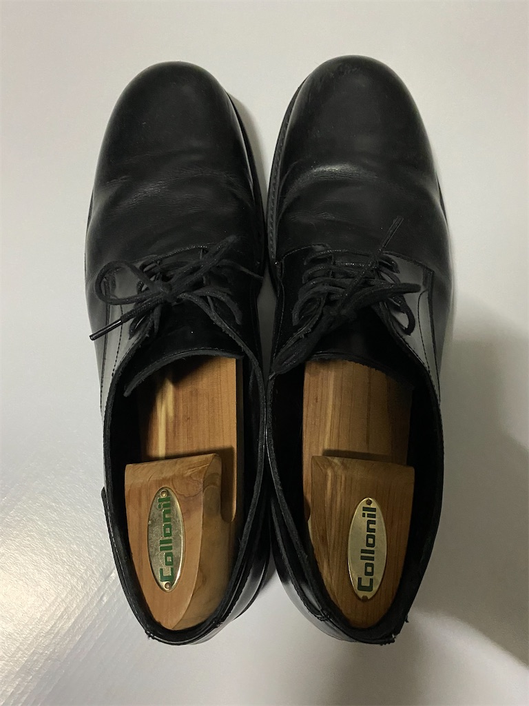 f:id:arihuretajinsei:20210331191232j:image
