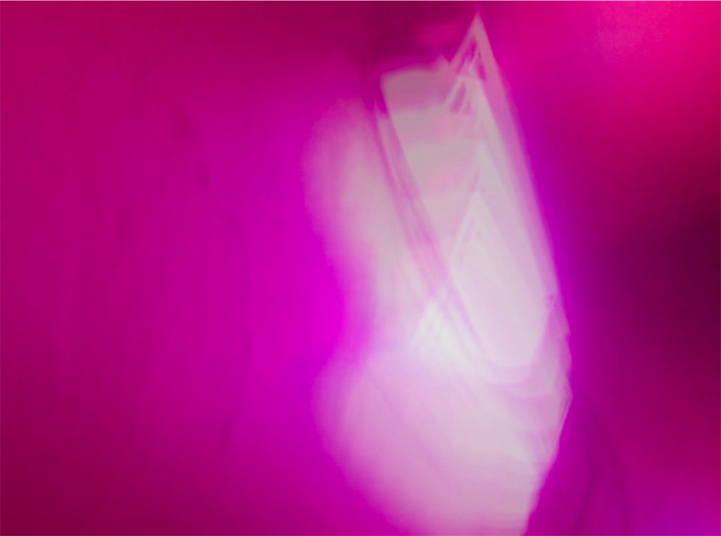 f:id:ariki_com:20190922224713j:image