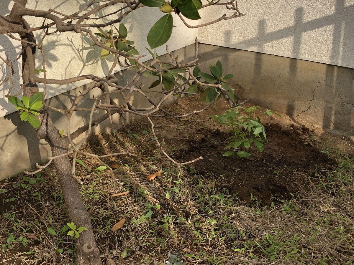 f:id:arikiri:20201001174139j:plain