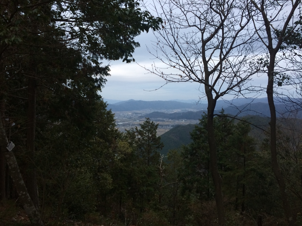 f:id:arikuroyon54:20190114220732j:plain f:id:arikuroyon54:20190114220732j:plain