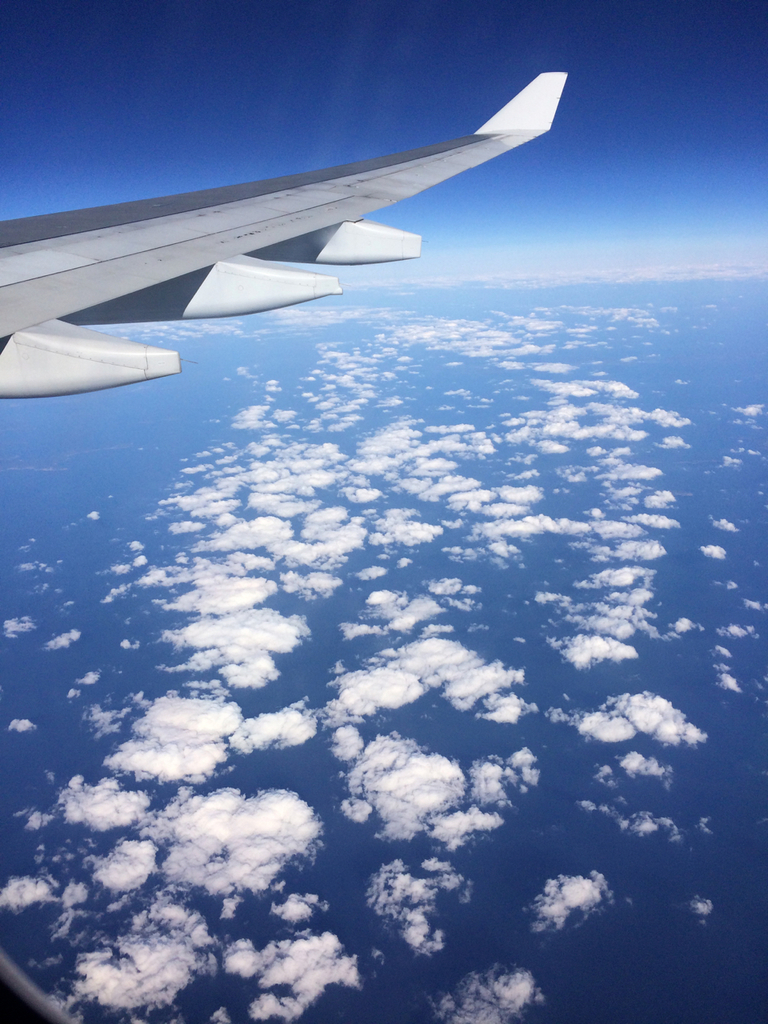 f:id:arikuroyon54:20190124215411j:plain f:id:arikuroyon54:20190124215411j:plain