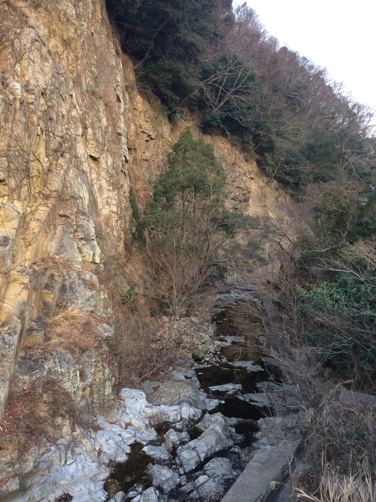 f:id:arikuroyon54:20190211210140j:plain f:id:arikuroyon54:20190211210140j:plain