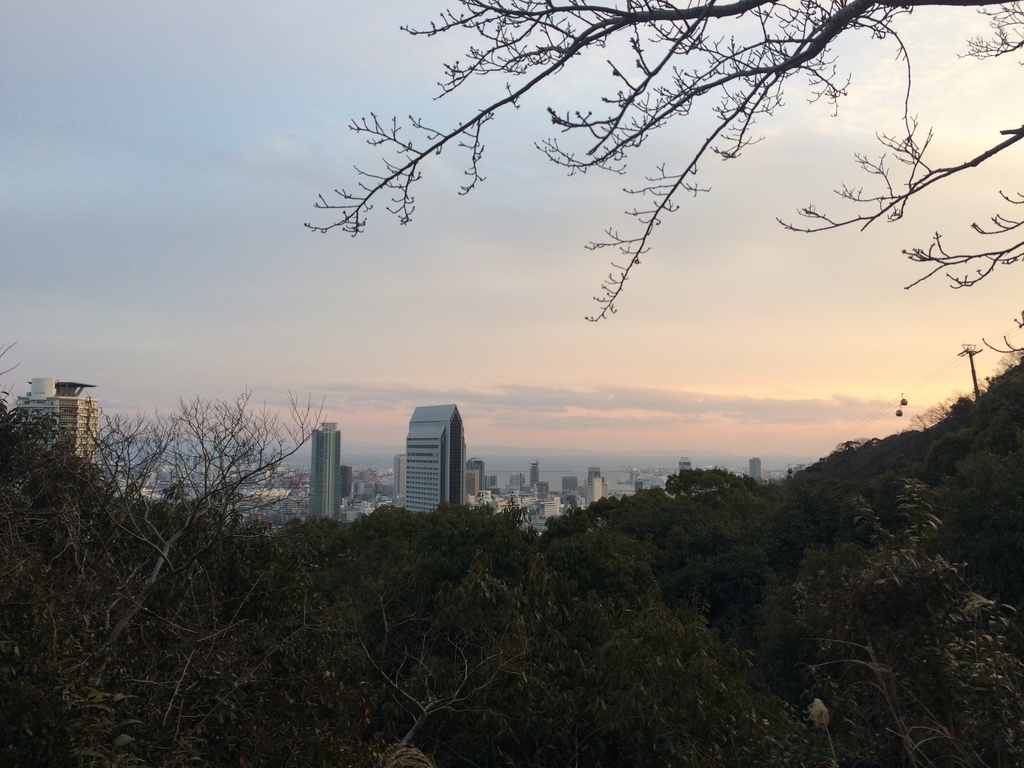 f:id:arikuroyon54:20190211210159j:plain f:id:arikuroyon54:20190211210159j:plain