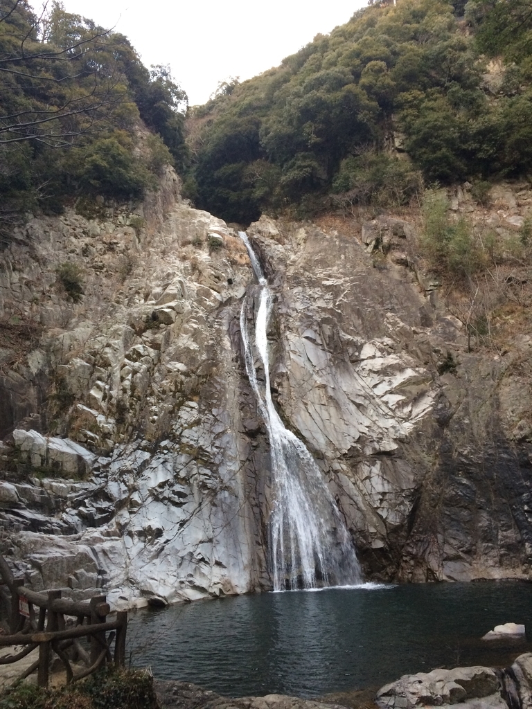 f:id:arikuroyon54:20190211210209j:plain f:id:arikuroyon54:20190211210209j:plain