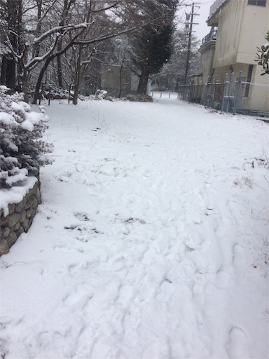 f:id:arikuroyon54:20190213182515j:image f:id:arikuroyon54:20190213182515j:image