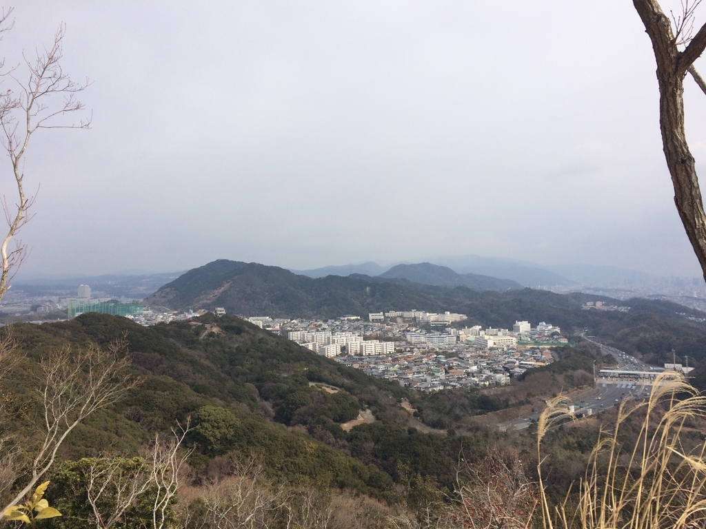 f:id:arikuroyon54:20190217214719j:plain f:id:arikuroyon54:20190217214719j:plain