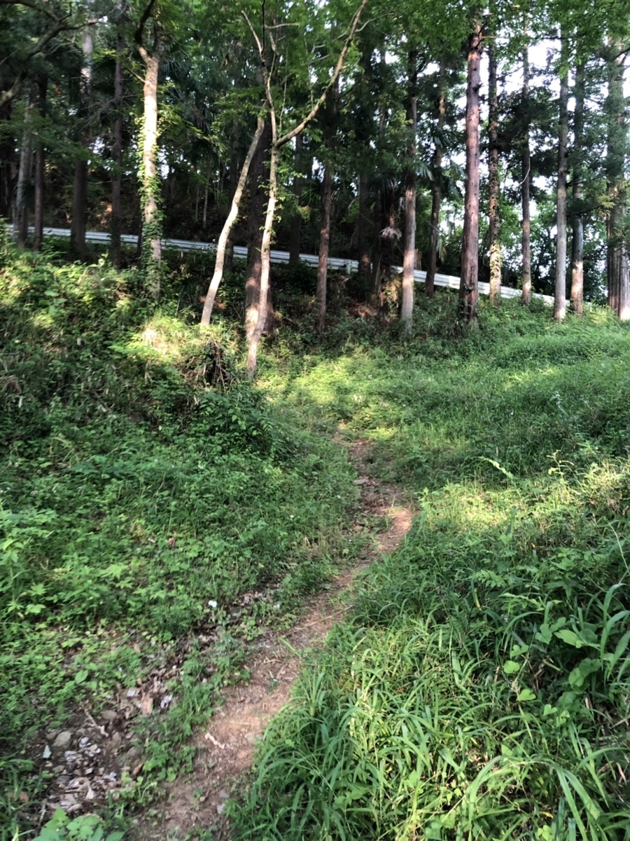 f:id:arima_jiro_takeichi:20190607140327j:plain f:id:arima_jiro_takeichi:20190607140327j:plain