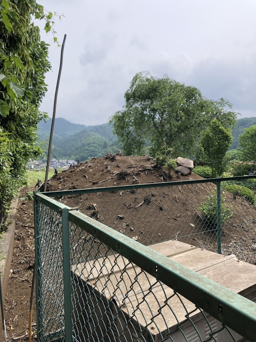 f:id:arima_jiro_takeichi:20190621010236j:plain f:id:arima_jiro_takeichi:20190621010236j:plain