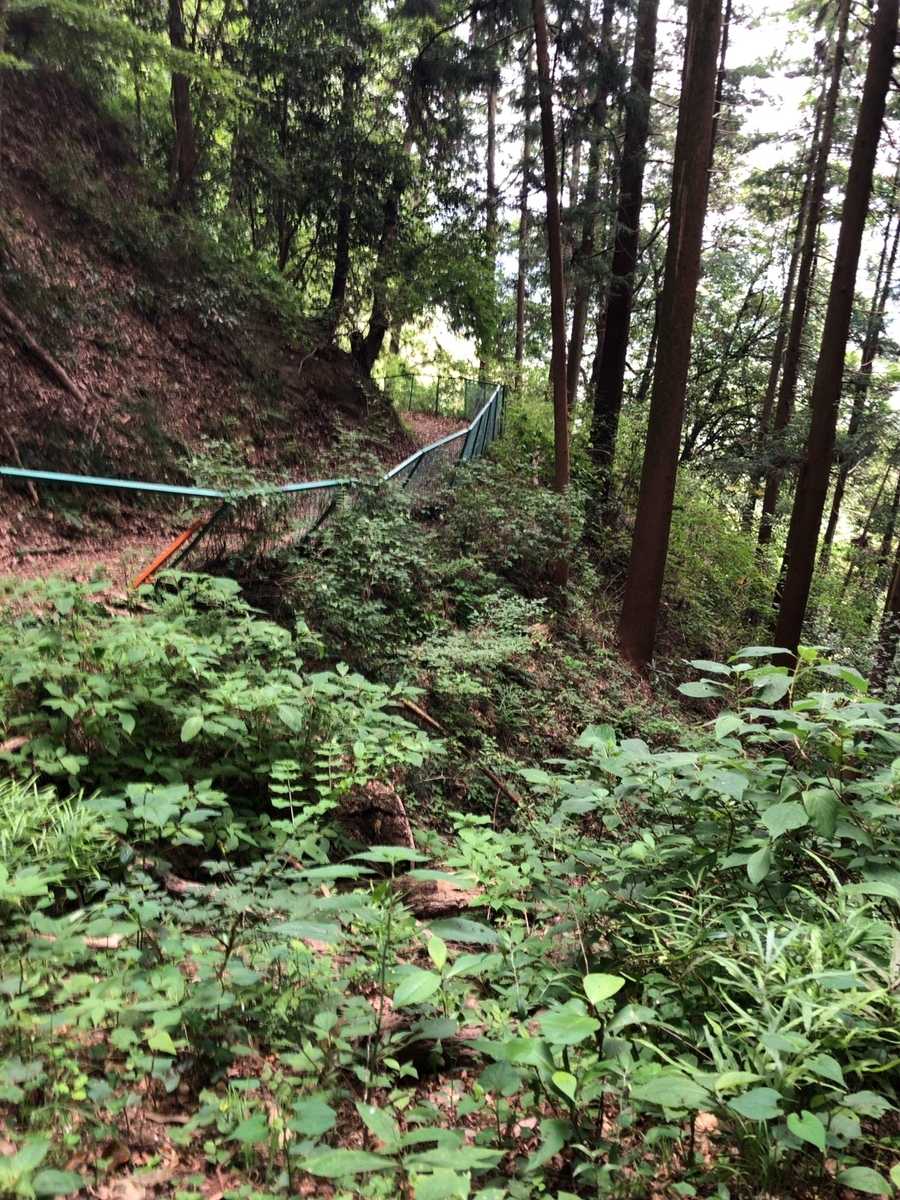 f:id:arima_jiro_takeichi:20190726231101j:plain f:id:arima_jiro_takeichi:20190726231101j:plain