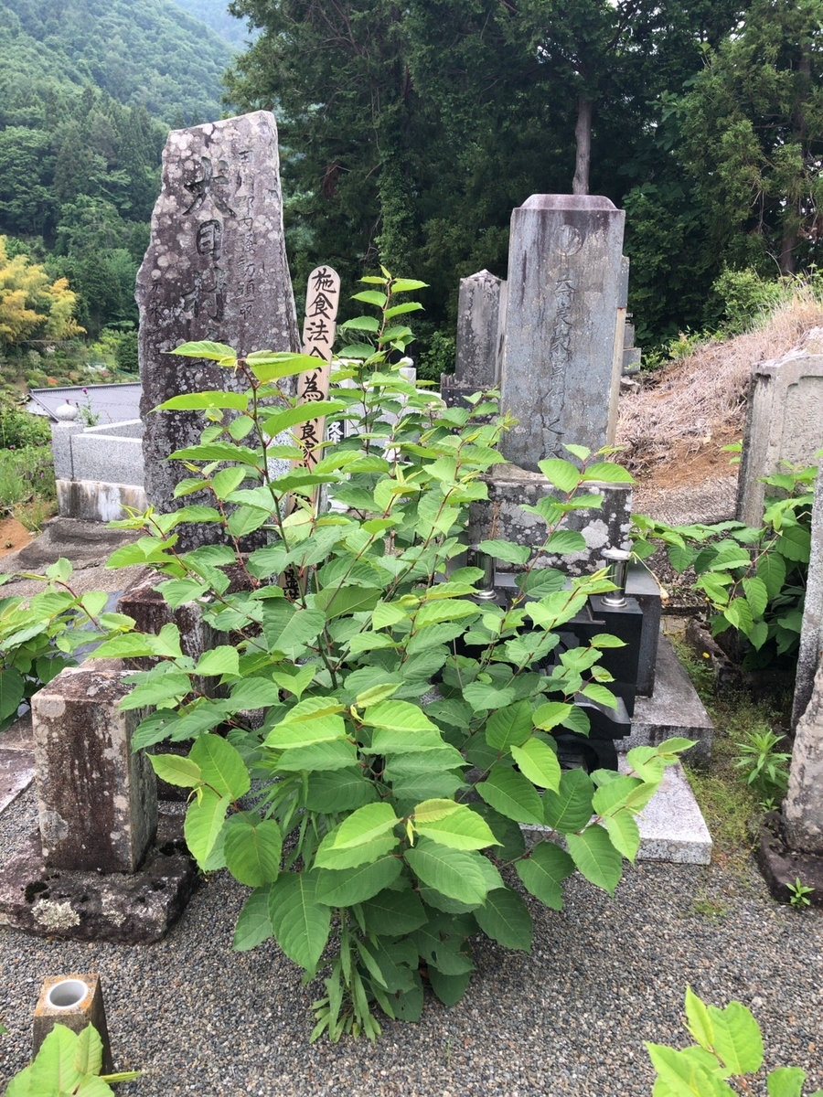 f:id:arima_jiro_takeichi:20190730002301j:plain f:id:arima_jiro_takeichi:20190730002301j:plain