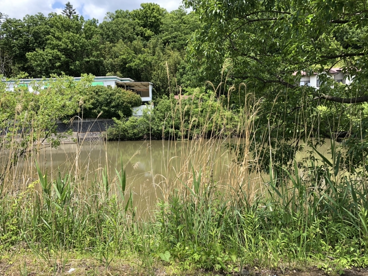 f:id:arima_jiro_takeichi:20190731232942j:plain f:id:arima_jiro_takeichi:20190731232942j:plain