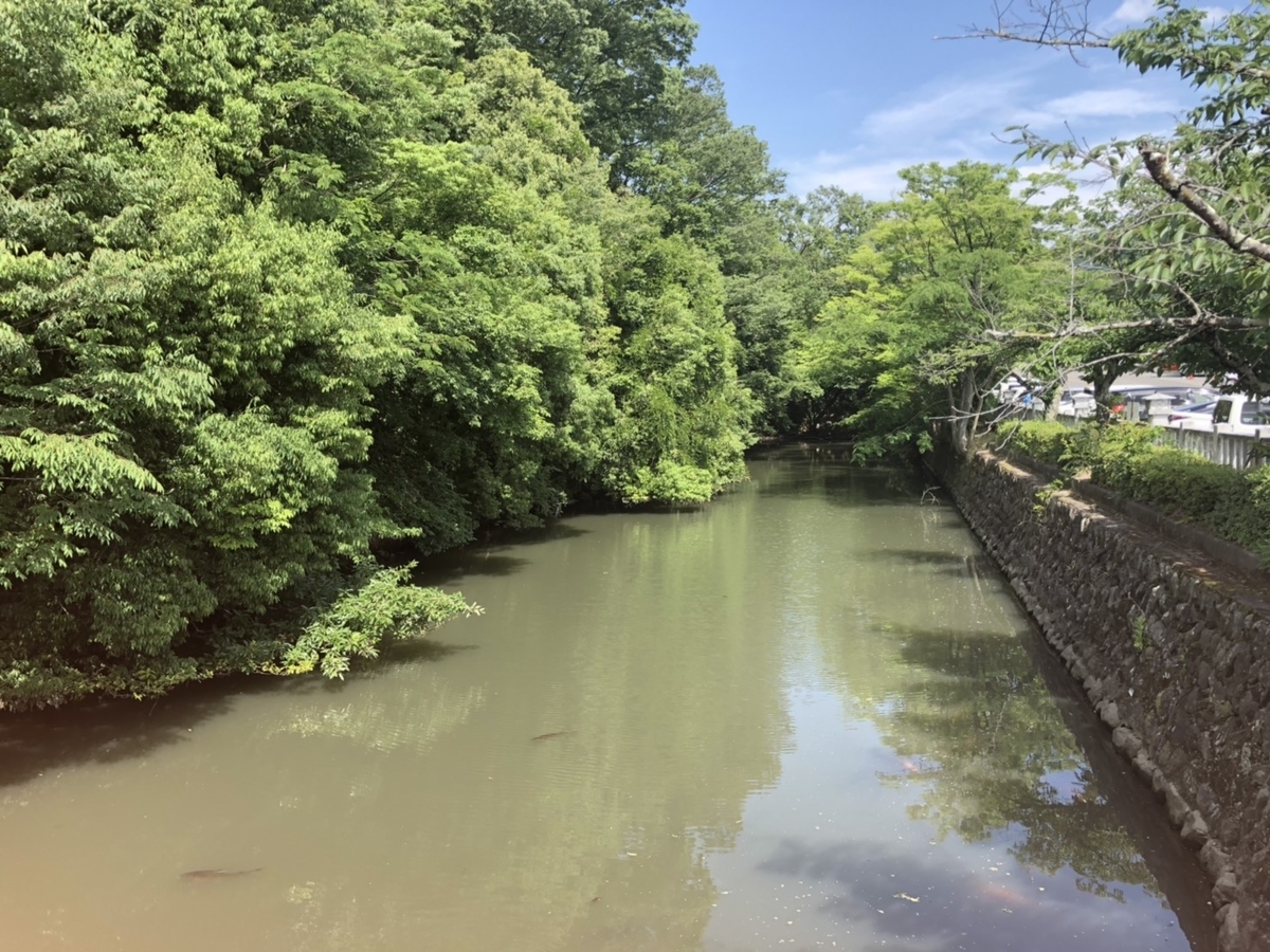 f:id:arima_jiro_takeichi:20190731233100j:plain f:id:arima_jiro_takeichi:20190731233100j:plain