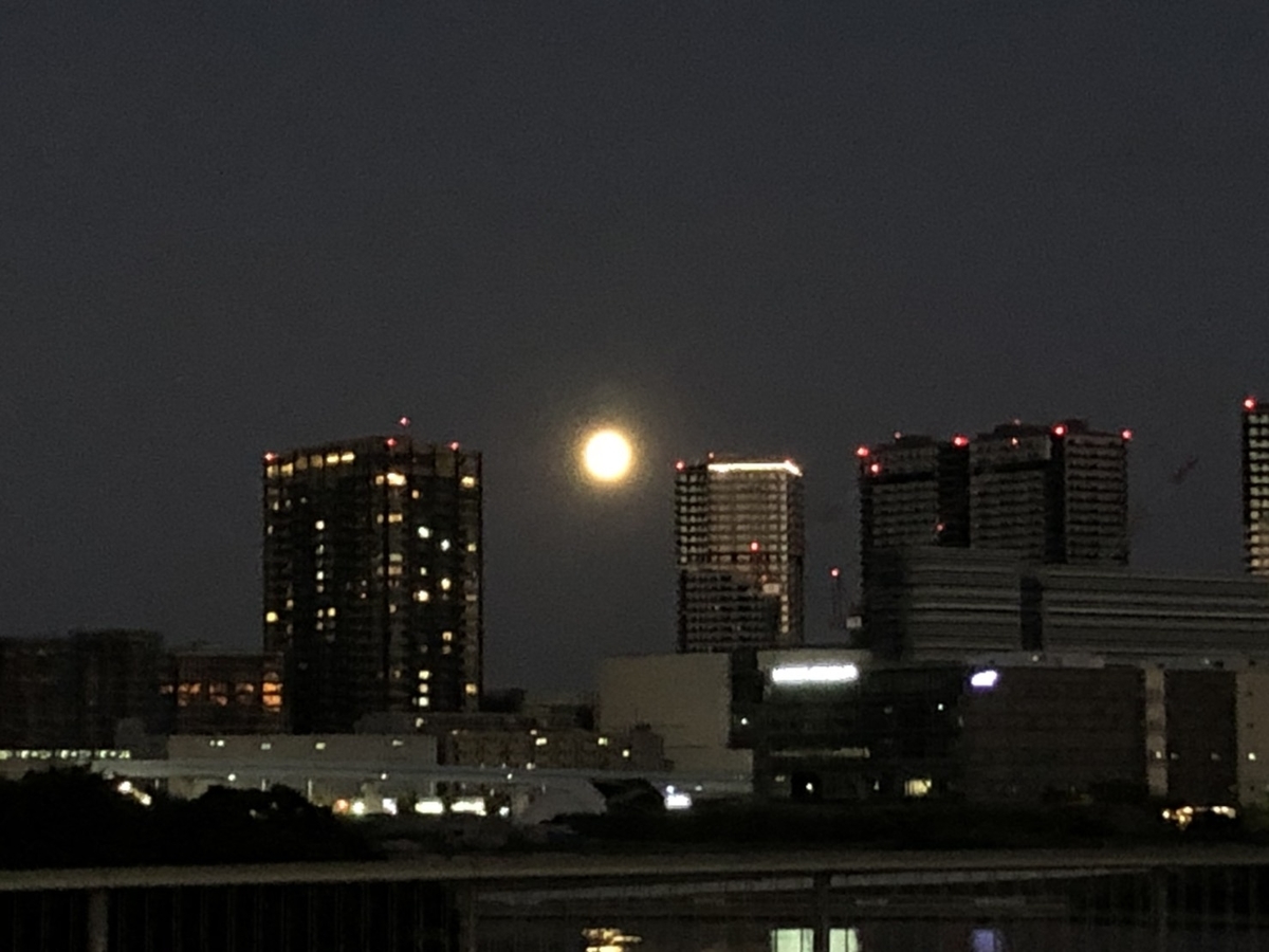 f:id:arima_jiro_takeichi:20191126182059j:plain f:id:arima_jiro_takeichi:20191126182059j:plain